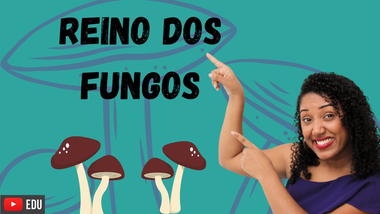 Aula: Reino dos Fungos