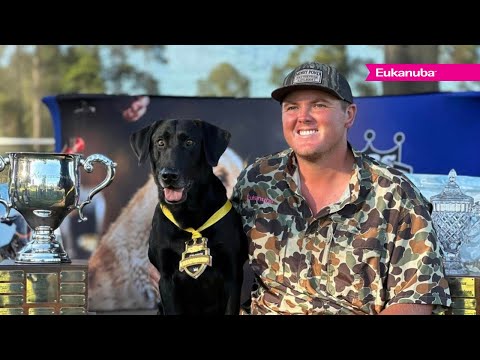 Carter Turner Of Mossy Pond Retrievers | Team Eukanuba
