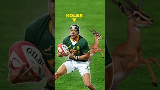 Download lagu If Kolbe Were An Animal 🥶🤯 #rugby #shorts #cheslinkolbe mp3