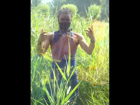 Original Makka  Punchline gie dem boy