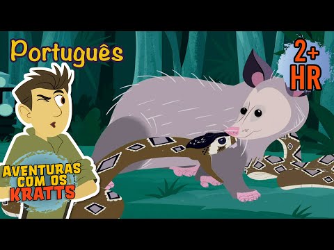 Criatura imune ao veneno de cascavel [episódios completos] Aventuras com os Kratts