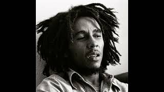 Bob Marley -  Talking Blues Live in Chicago 1975