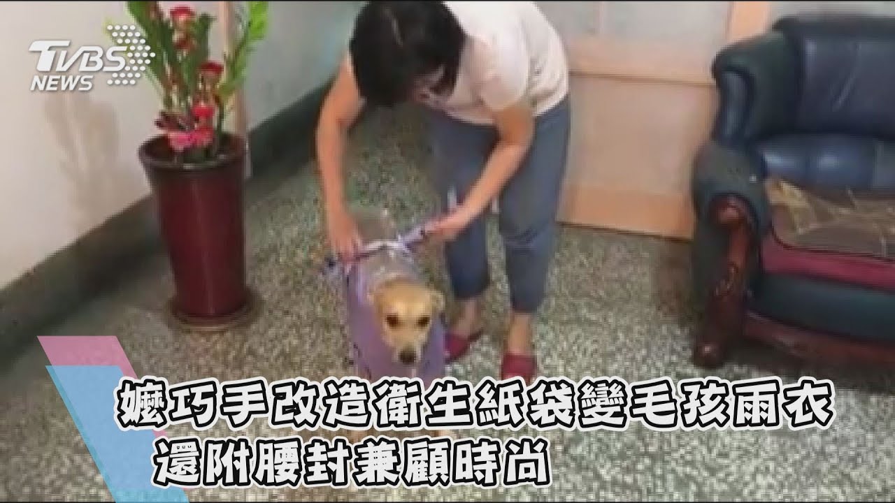 嬤巧手改造衛生紙袋變毛孩雨衣 還附腰封兼顧時尚