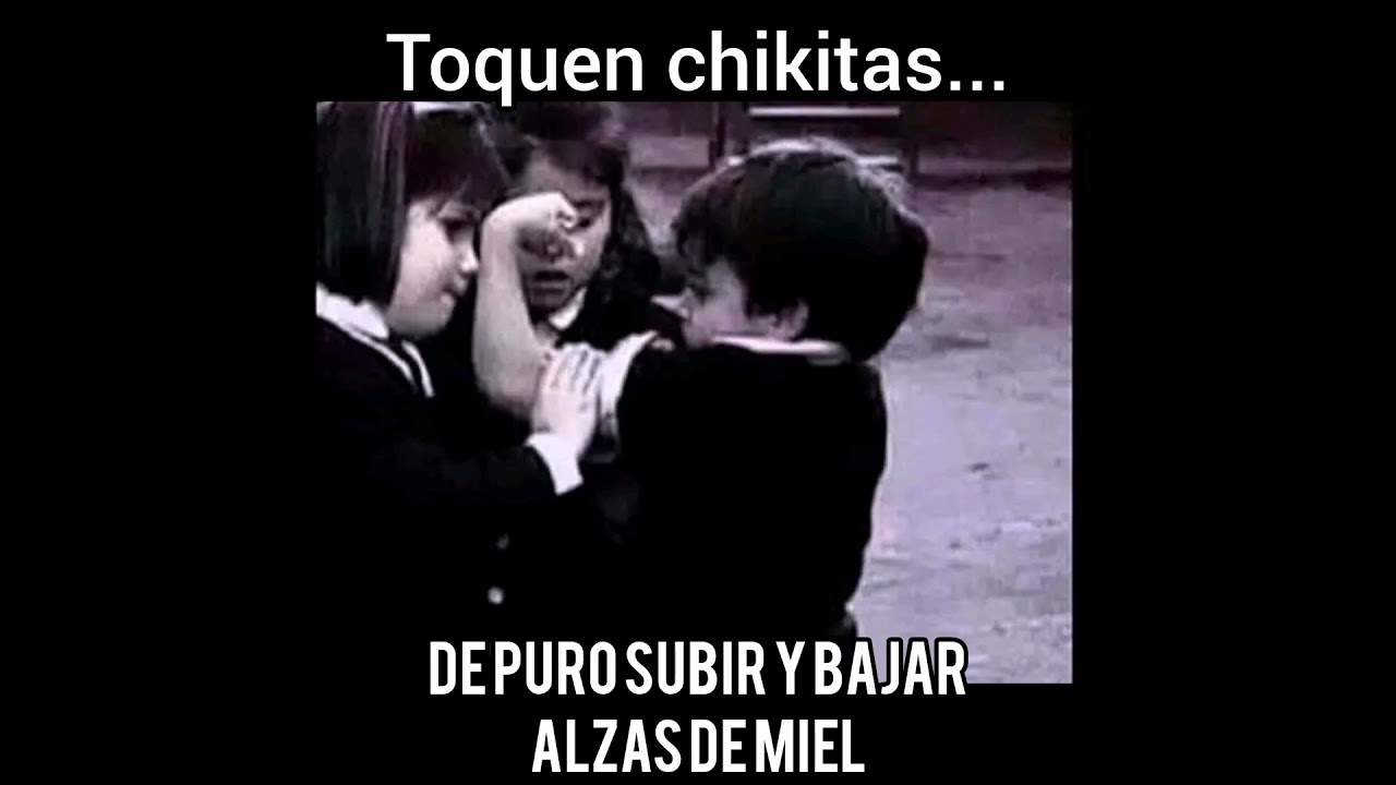 💪#apiculturamacizo #shortvideo #viralshort #bee