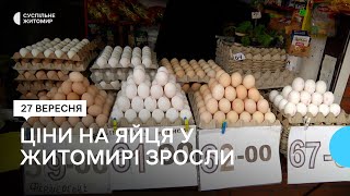 Ціни на яйця: скільки житомиряни віддають за десяток