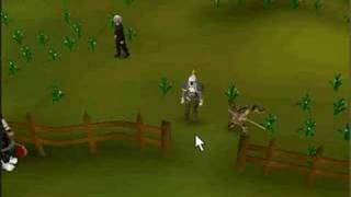 runescape glitch
