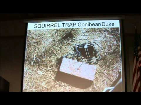 Jim Russell: Macadamia Nuts & Permaculture Orchards