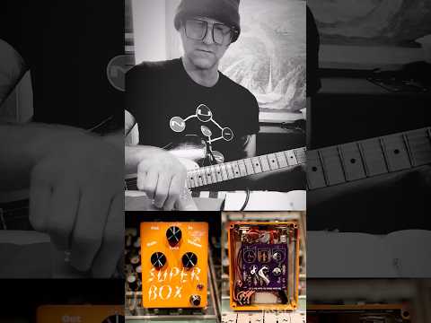 Leone Effects Super Box Fuzz Machine: Hitachi 2SB77 (Ge) / Valvo OC44 (Ge) 2026 - Electric Orange image 5