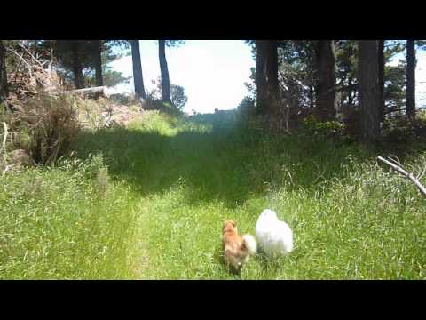 Tuesday 2nd December 14 (afternoon)