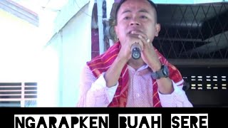 Download lagu NARTA SIREGAR || NGARAPKEN BUAH SERE..Kerja Tahun Desa Gunung. mp3