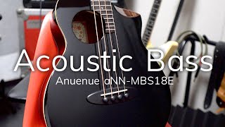 アコースティックベースはイイぞ！アコベの魅力とAnuenue aNN-MBS18Eのレビュー