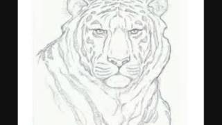 KIF PERSOO ..LEO'S SUNSHIP....I'M BACK FOR MORE...wmv