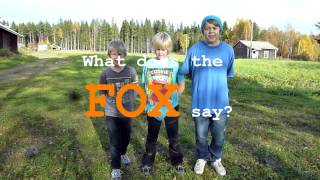 What does the fox say?