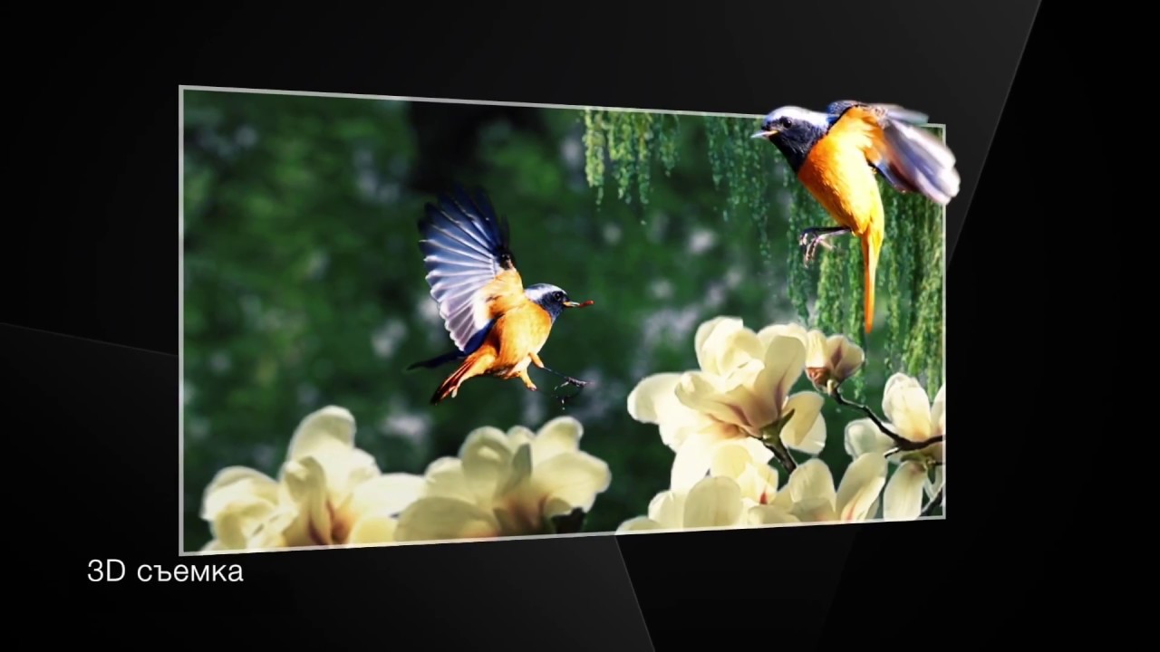 Смартфон ZTE Blade V8 mini Black