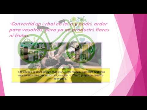 medio ambiente . meybel..