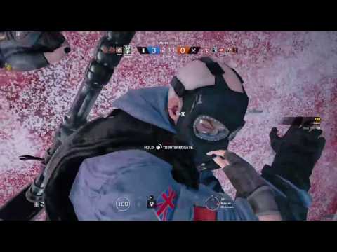 Insane Caveira Ace Plus 1V4 Clutch