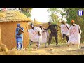 Sabuwar Wakar Husaini Danko - Na Daya ft. Umar Khan | Latest Hausa Music | Best Hausa Songs