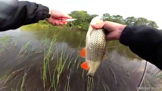 Воблеры pontoon 21 preference-minnow 90f-sr