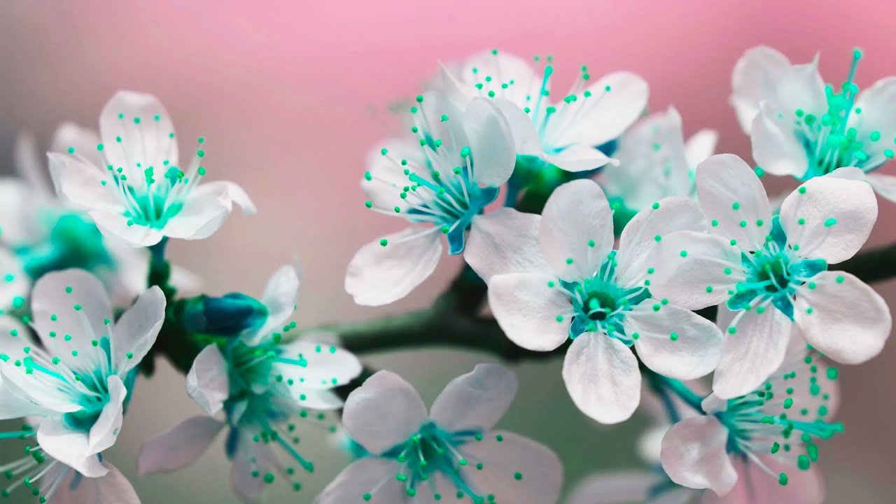 C.S. Lewis: Leave It in God’s Hands, He Knows You’re Tired