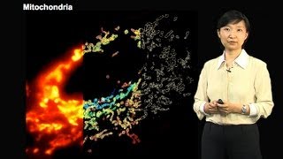 Super resolution microscopy