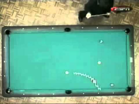 Chao Fong Pang vs Francisco Bustamante 2001