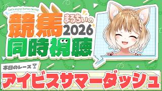 【競馬同時視聴】アイビスサマーダッシュ2026を見るよおおおおおお！【まるちぃ 】