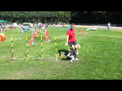 Pavol & Ikea, Border Collie Classic 2015