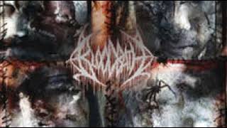 Bloodbath Trail Of Insects