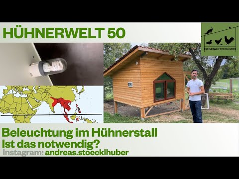 Hühnerwelt 50 Sollte man den Hühnerstall im Winter beleuchten?