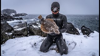 When is it too COLD? Spearfishing Remote Arctic Norway in Winter.