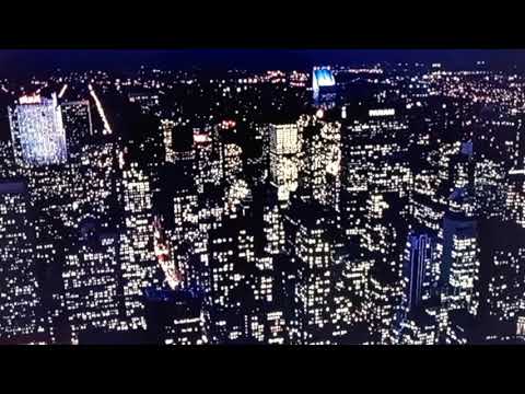 when shadina wants sonic but he ran away