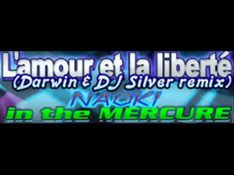 NAOKI underground - L'amour et la liberte (Darwin & DJ Silver remix) [HQ]