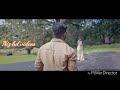 Whatsapp Status Video 032