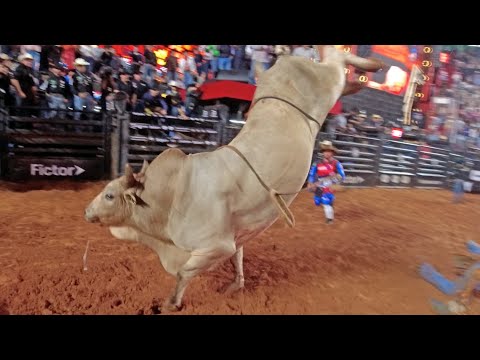 BARRETOS International Rodeo 2025 (THURSDAY / HIGHLIGHTS)