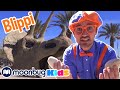 Blippi Visits Dinosaur Exhibition Learn About Eggs Fossils Moonbug Kids TV Shows Full Episodes