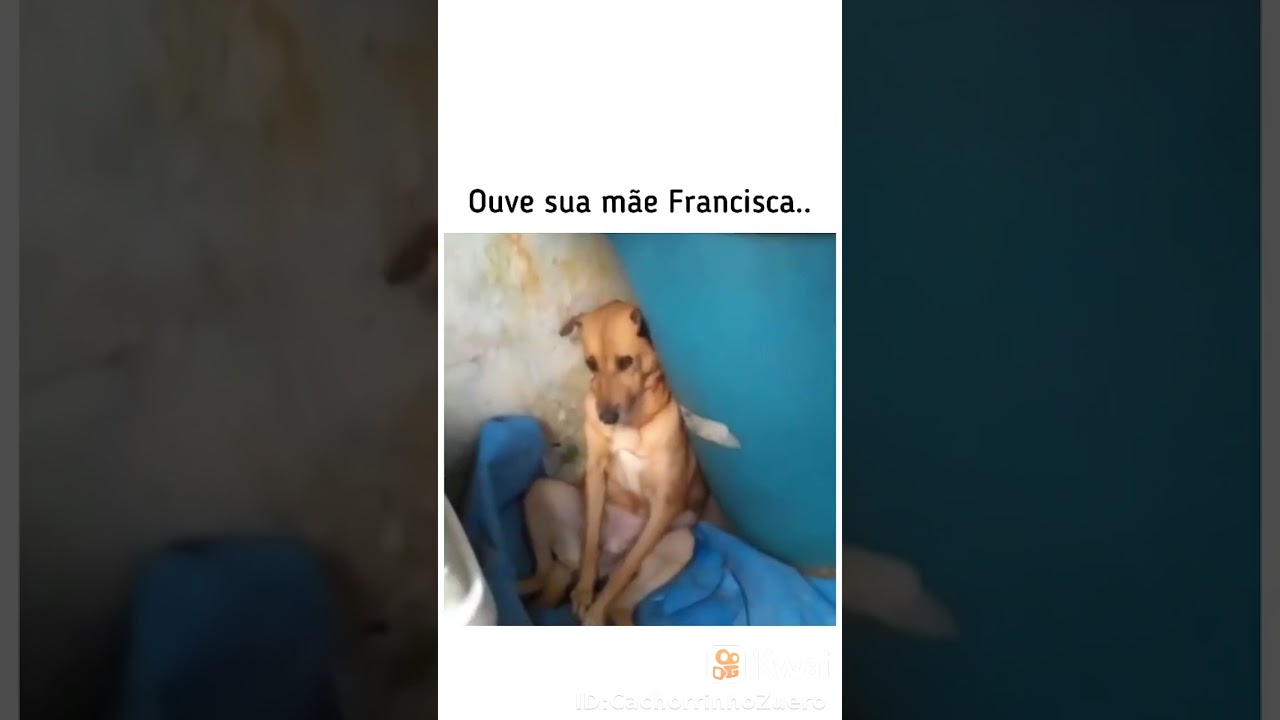 olha como a Francisca senta kkkkkkkk #shorts #viral #kwai