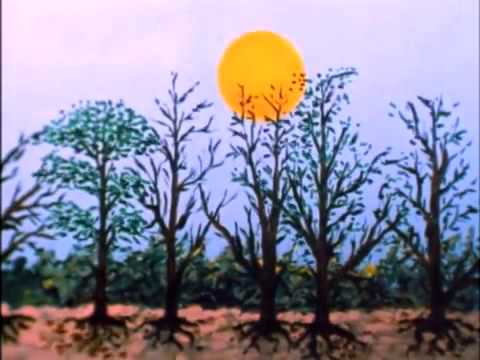 Red Hot Chili Peppers - Behind The Sun Guitar pro tab