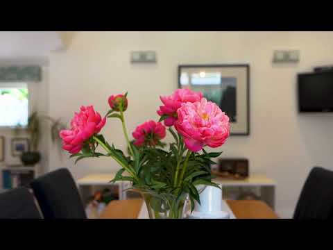 Open2view NZ - ID# 466427 - 173 Portland Road, Remuera