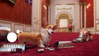 Королівський коргі - офіційний трейлер №2 (український)