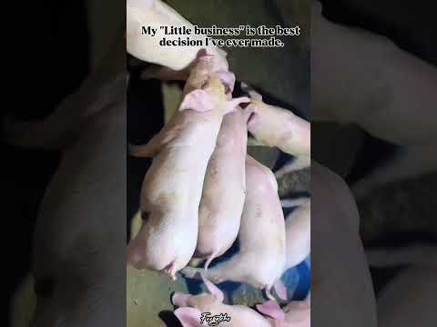 My "Little business" is the best decision I've ever made 💗