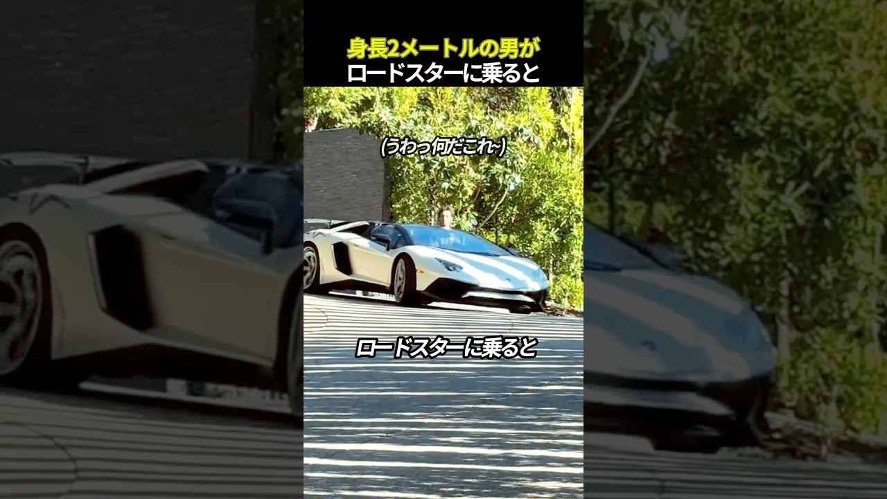 身長2メートルの男がロードスターに乗ると