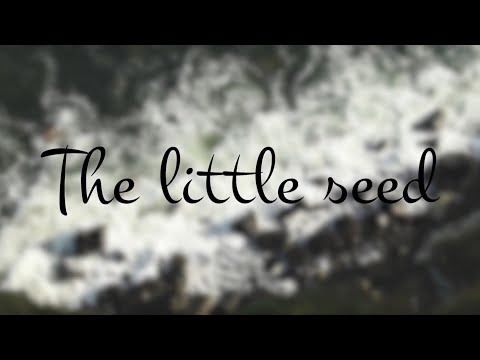 The little seed | short documentary | UWS Ayr