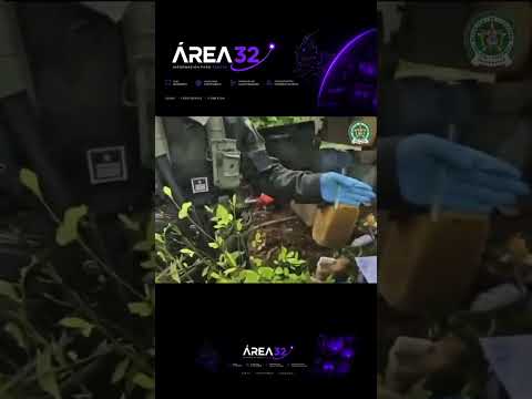 🚨🇨🇴 GOLPE AL NARCOTRÁFICO EN PUTUMAYO Y NARIÑO
