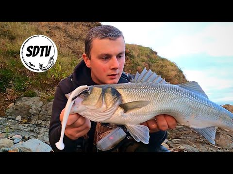 Testing A New Lure For Bass | How Good Is It? Bass Fishing Ireland/UK | Rooney's Fishing Supplies