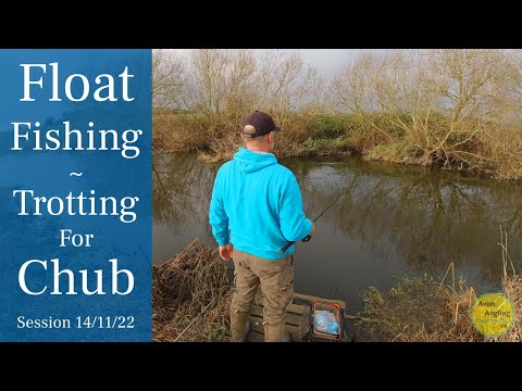 River Fishing - Stick Float Trotting The Avon For Chub - 14/11/22 (Video 361)
