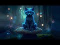 Music Therapy for Cats | Sound Bath