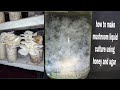 How To Make Mushroom Liquid Culture Using Honey Bee And Agar