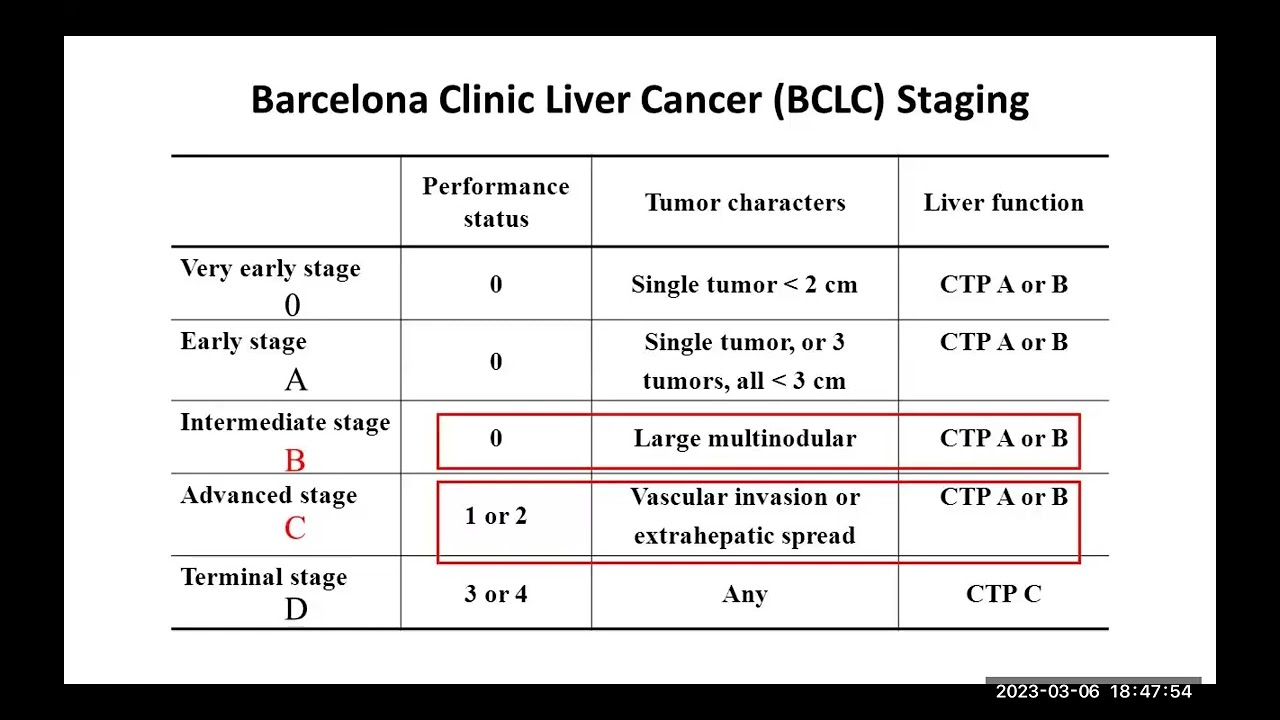Aula Terapia sistêmica no hepatocarcinoma - Dr. Williams Barra
