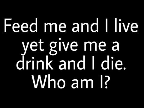 download lagu mp3 mp4 Feed Me And I Live, download lagu Feed Me And I Live gratis, unduh video klip Feed Me And I Live