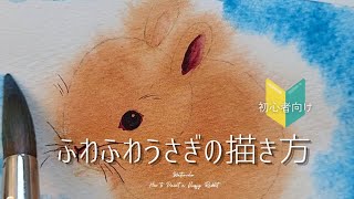 【初心者向け】癒し動物の描き方｜透明水彩でふんわりうさぎを描こう